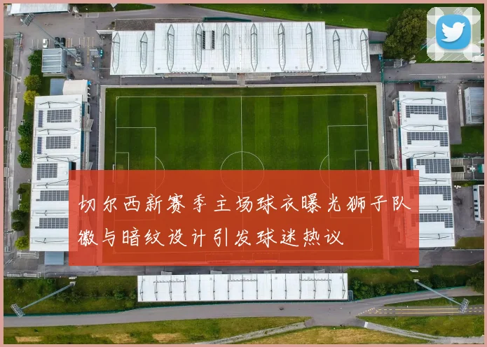 切尔西新赛季主场球衣曝光狮子队徽与暗纹设计引发球迷热议