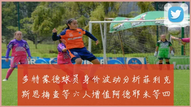 多特蒙德球员身价波动分析菲利克斯恩梅查等六人增值阿德耶米等四人贬值