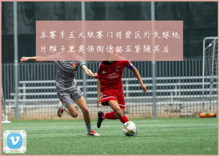 本赛季五大联赛门将禁区外失球统计维卡里奥领衔德赫亚紧随其后