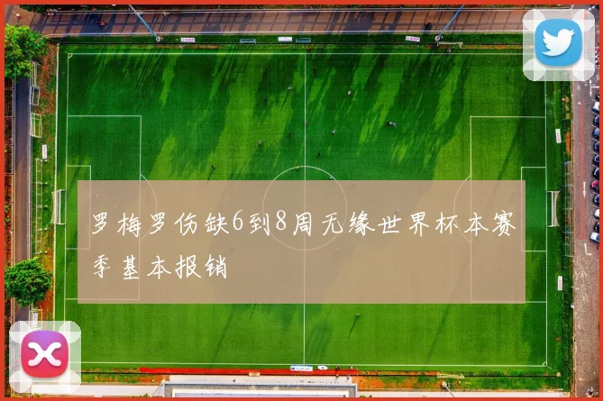 罗梅罗伤缺6到8周无缘世界杯本赛季基本报销